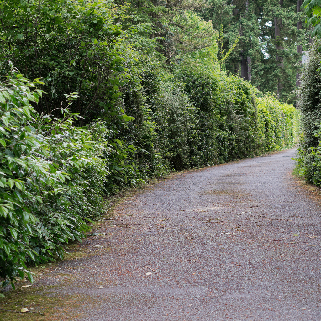 Quality Tarmaced Driveway by WCD in Caerwys